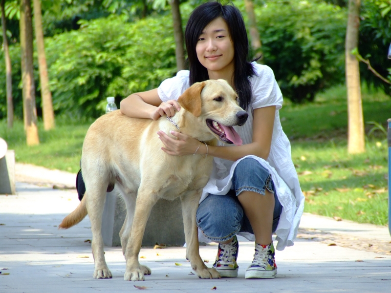 风中的绿叶的第一张照片--南通相亲服务中心