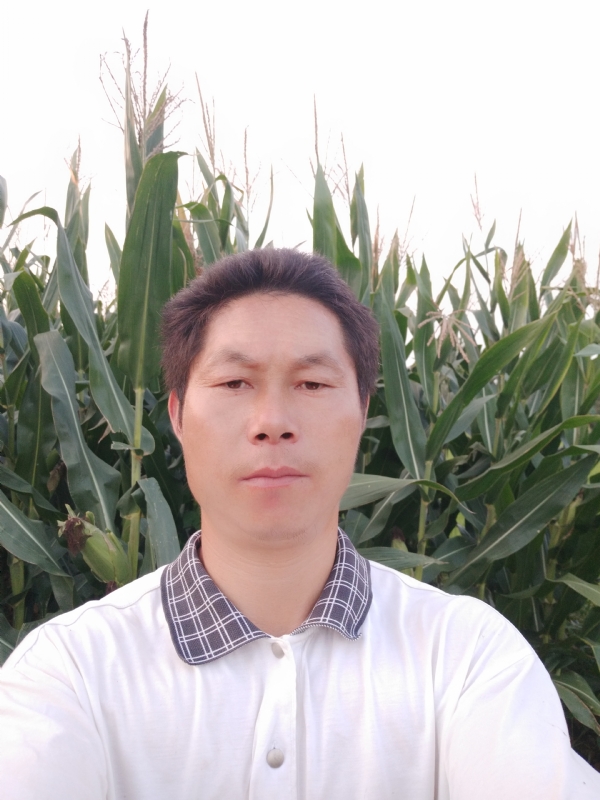 四海游龙的第一张照片--南通相亲服务中心