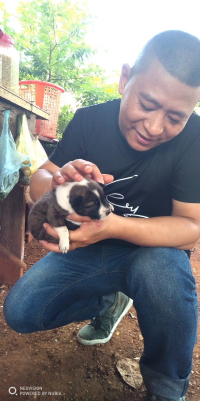 深圳相亲的第一张照片--南通相亲服务中心