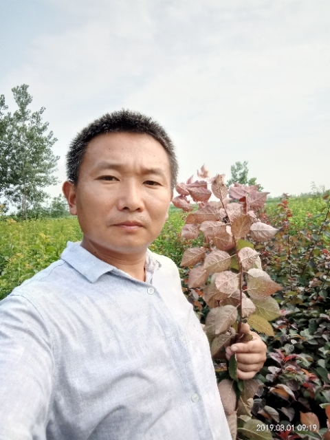 孩子爸的第二张照片--南通相亲服务中心