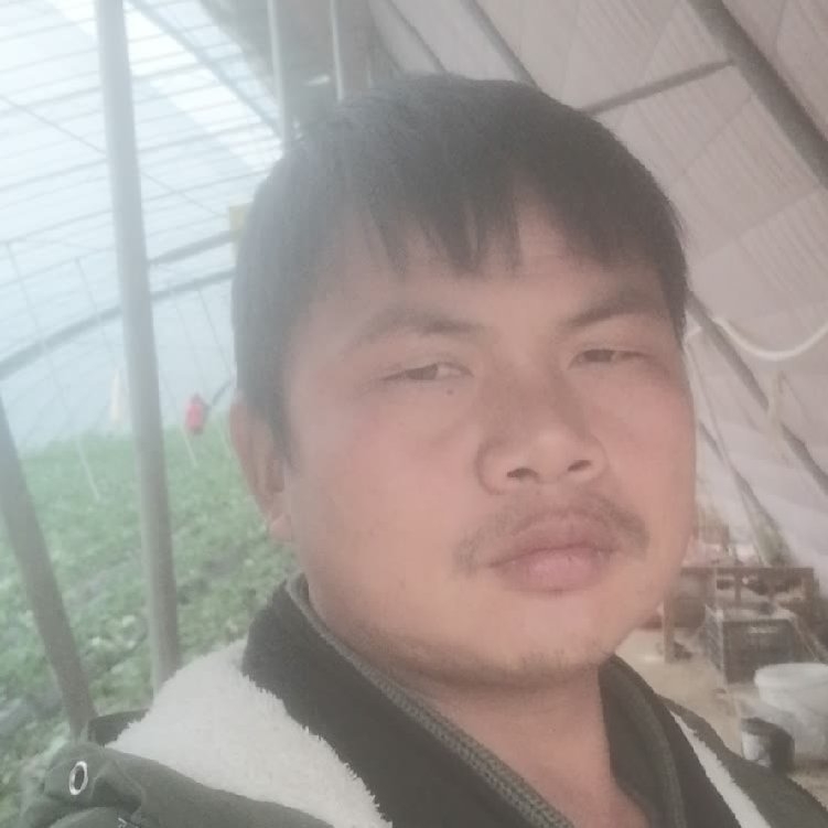 孤狼‘的第一张照片--南通相亲服务中心