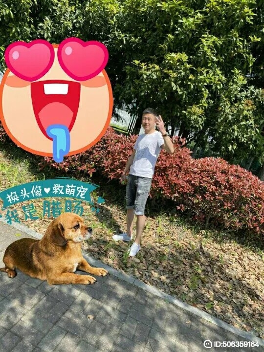 我若不坚强谁替我勇敢的第一张照片--南通相亲服务中心