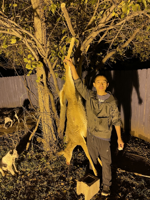 Kandy的第三张照片--南通相亲服务中心