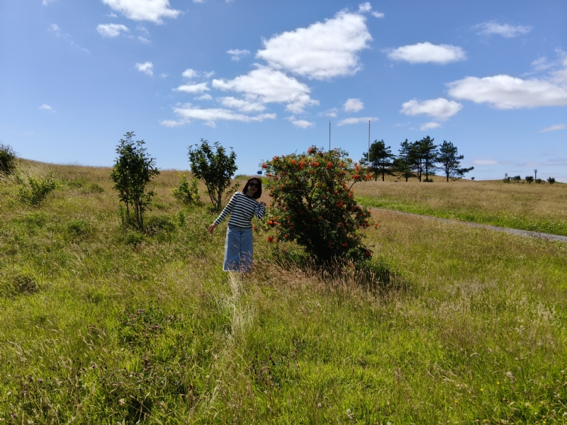 秋蝉的第一张照片--南通相亲服务中心