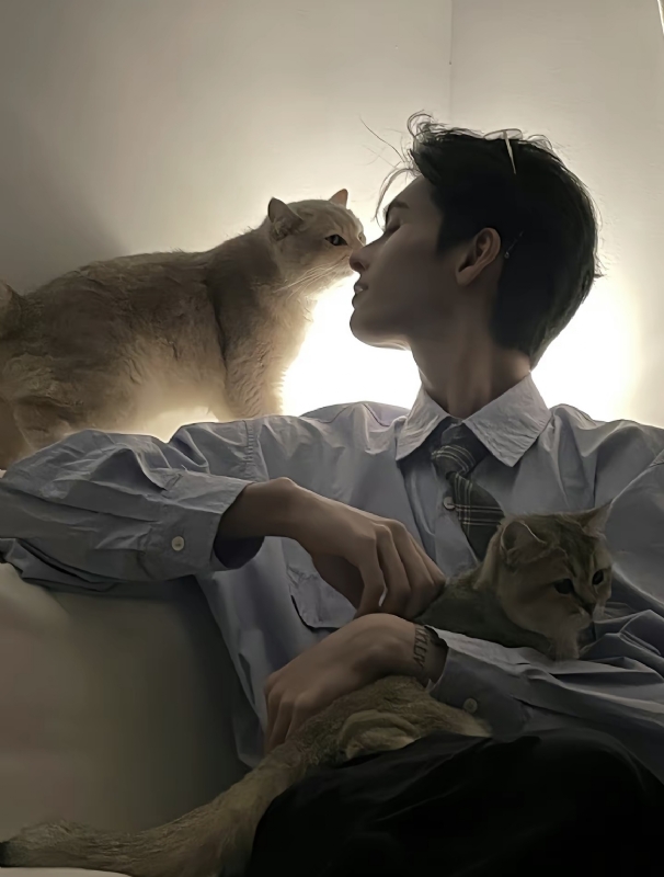 怪猫的第一张照片--南通相亲服务中心