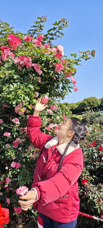 狗狗的第一张照片--南通相亲服务中心